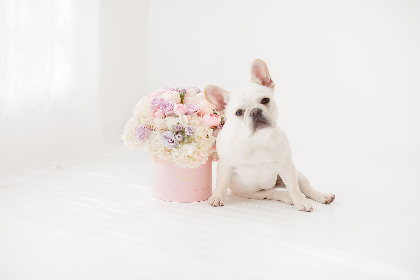 Fresh Flower Arrangement with a Cute Puppy | Our Story | La Vie en Rose Company