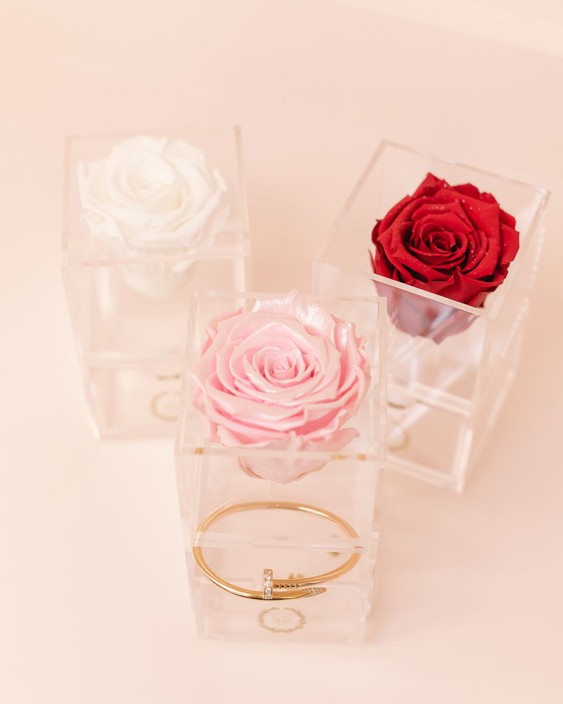 Trésor - Single Premium Ecuadorian Everlasting Rose Box Houston,Tx – La Vie  en Rose Company